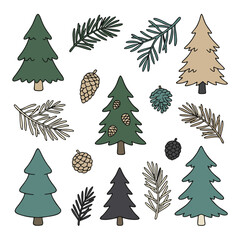Obraz premium Hand Drawn Evergreen Trees Branches and Pine Cones Illustration Set