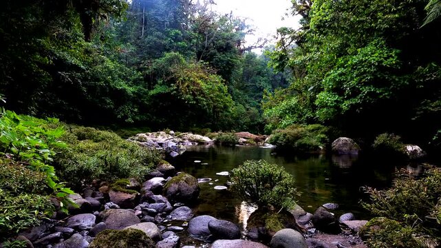 Rocky Rainforest River in Ecuador with Clear Water, Green Jungle Banks, Boulders and Remote Andean Amazon Freshwater Nature Landscape