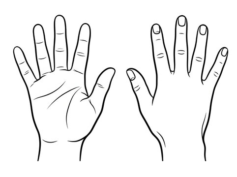 Illustration of human hands with six fingers on each hand isolated on transparent background