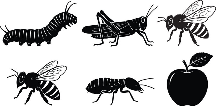 Insect Life Cycle Icons Set - Caterpillar, Grasshopper, Bee, Flying Ant, Larva and Apple Vector Illustration .