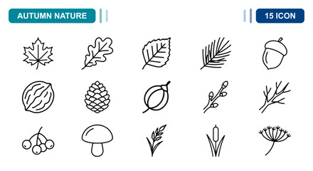 15 Autumn nature linear icon set leaf acorn mushroom pine cone, UI and web interface design © Iconbyart1
