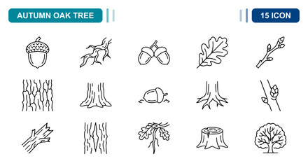 15 Autumn oak tree linear icon set acorn, leaf, bark, branch, trunk, UI and web interface design © Iconbyart1