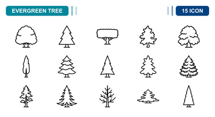 15 Evergreen tree linear icon set pine spruce fir cedar forest, UI and web interface design © Iconbyart1