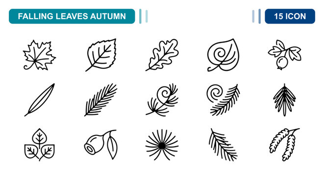 15 Falling leaves autumn linear icon set maple oak pine foliage, UI and web interface design