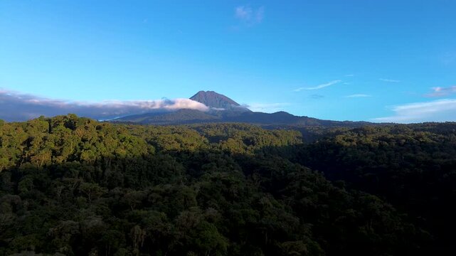 Sunlit Volcano Rising Above Tropical Rainforest in Ecuador, Green Forested Foothills, Blue Sky and Scenic Andean Amazon Travel Landscape