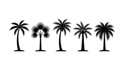 Fototapeta premium Set of palm trees in black silhouette on white background