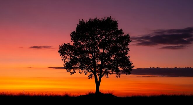 A lone tree silhouette against a vibrant gradient sunset sky