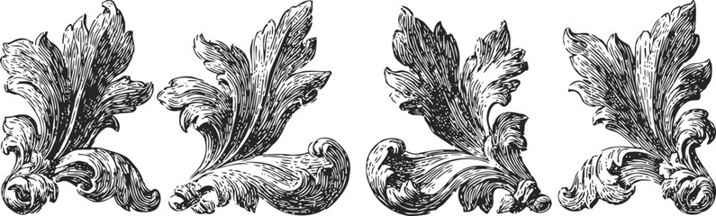 Obraz premium vintage baroque acanthus leaf ornaments decorative floral engraving elements set