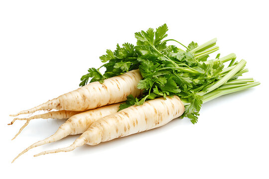 Parsnips on a white background