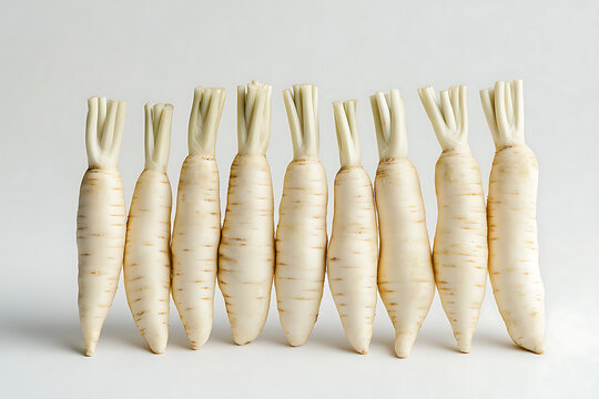 Parsnip roots have a creamy white, smooth skin, distinct horizontal grooves and small rootlets.