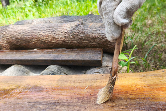 Gloved hand carefully applying wood finish with a paintbrush. Home improvement, outdoor woodworking, timber maintenance and protective coating process.