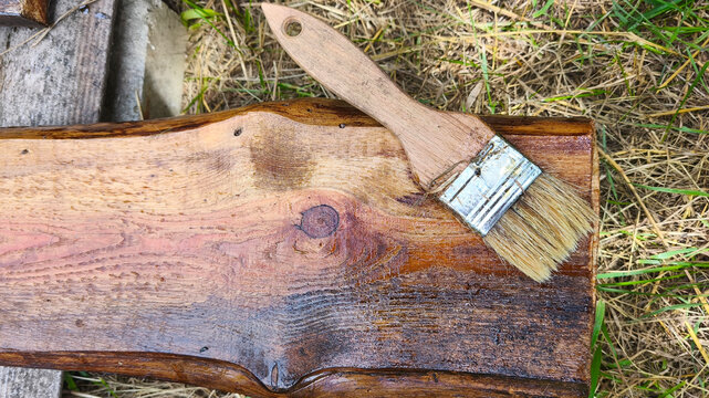 Freshly stained wooden board with paintbrush after applying protective finish. DIY woodworking, timber restoration, home renovation and wood preservation.