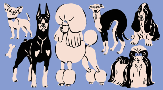 Different Dogs set. Various breeds. Cute funny domestic animals in various poses. Doberman, chihuahua, poodle, greyhound, shih tzu, basset hound. Hand drawn trendy Vector illustration