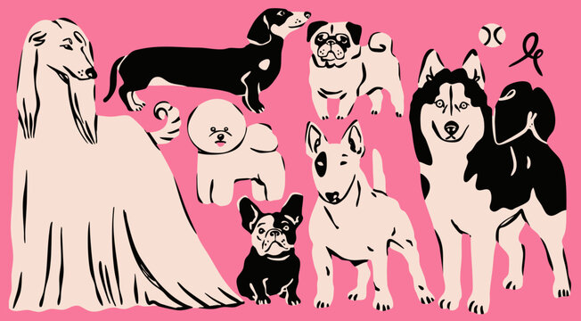 Different Dogs set. Various breeds. Cute funny domestic animals in various poses. Dachshund, bichon frise, afghan hound, French bulldog, bull terrier, husky, pug. Hand drawn Vector illustration