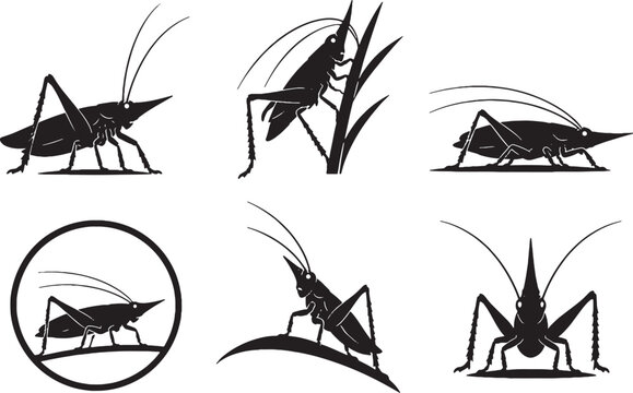 Marsh Conehead Katydid Silhouette Icon Set Black Vector Insect Collection Isolated on White Background