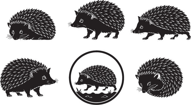 African Pygmy Hedgehog Silhouette Icon Set Black Vector Pet Mammal Collection