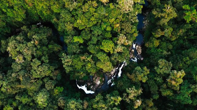 Top Down Drone View of Waterfall Stream Through Dense Ecuador Rainforest, Green Canopy, Whitewater Channel and Remote Tropical Nature Landscape
