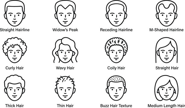 Male and Female Hairlines Types and Hair Texture Icon Set Illustrating Receding Hairline Widows Peak Curly and Straight Growth Patterns for Medical Salon Guide