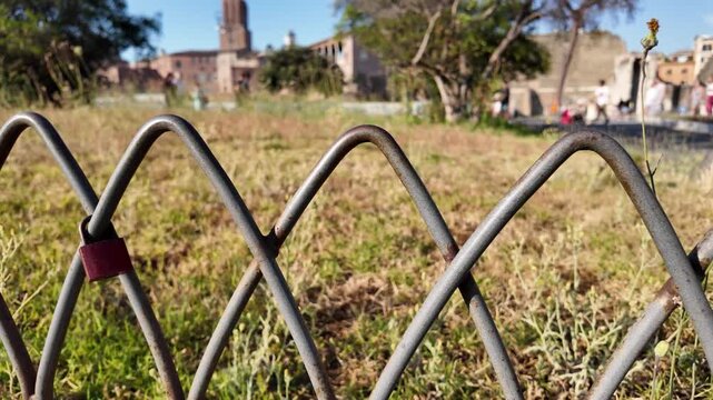 Low decorative metal garden fence edging for flower beds