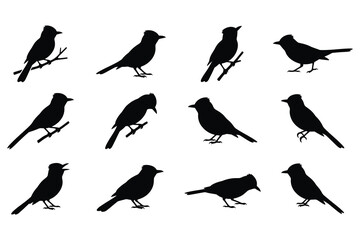 Fototapeta premium Black silhouette birds perched on branches transparent background collection
