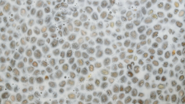 Macro shot of chia seeds soaked in almond milk, top view background. Healthy chia pudding, natural organic texture for design project, menu, social media post, cookbook cover and wellness advertising.