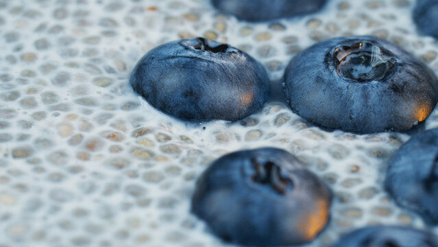 Macro close-up shot of chia pudding in almond milk with fresh blueberries. Healthy dessert for food blog, restaurant menu, banner, social media post, cookbook cover and wellness advertising.