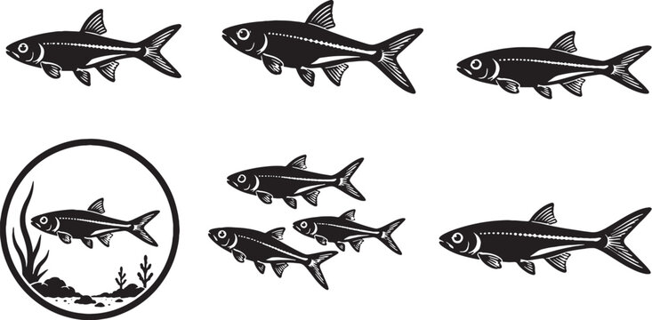 Freshwater Dwarf Emerald Rasbora Silhouette Icon Set Black Vector Nano Aquarium Fish Collection Isolated on White Background