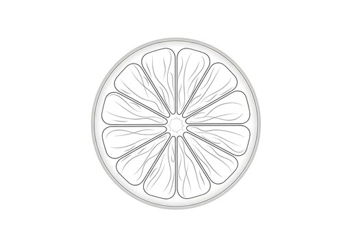 Black and white line art drawing of a fresh citrus orange fruit slice