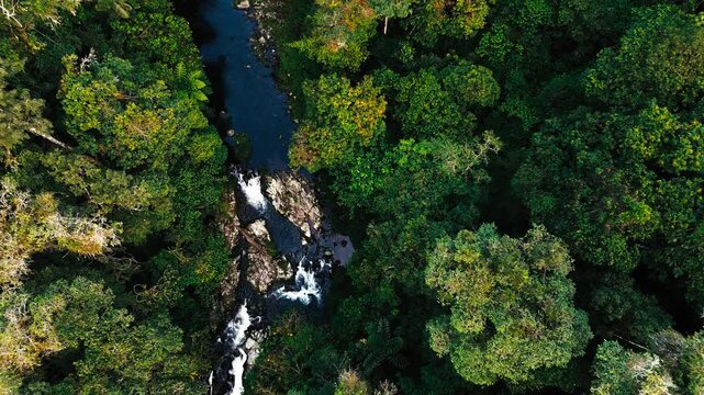 Aerial View of Narrow Waterfall River Through Dense Ecuador Rainforest, Whitewater, Green Canopy and Remote Andean Amazon Wilderness Landscape