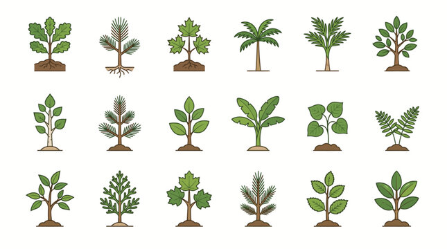Diverse sapling species vector icons set showing tree growth stages in flat line art style