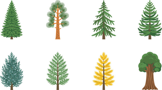 Collection of Diverse Tree Illustrations Showing Evergreen and Deciduous Species in Flat Style