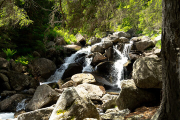 Mountain Waterfall Cascading Over Granite Rocks in Alpine Forest © Nadia