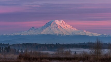 Fototapeta premium Mount Rainier Peak Bathed in Alpenglow Over Forest
