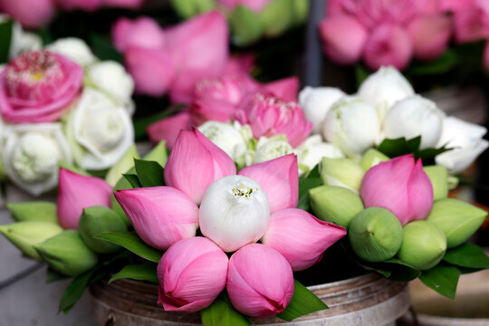 Lotus flowers on display for Buddhist offerings in Vietnam's vibrant market scene