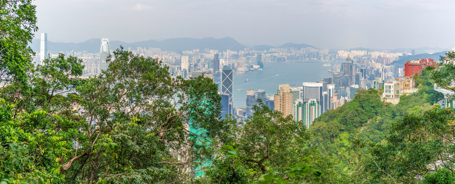 View of Hong Kong and Kowloon Peninsula from Victoria Peak showing city skyline and natural surroundings