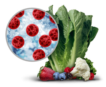 Cyclosporiasis Contamination on Produce as an outbreak and spread as a foodborne parasitic disease caused by Cyclospora cayetanensis through contaminated food as fruits and vegetables or water resulti