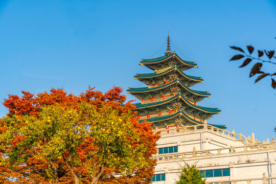 View of National Folk Museum of Korea on sunny autumn day in Gyeongbokgung Palace, Gwanghwamun, Seoul, South Korea