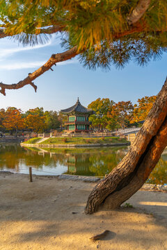 View of Hyangwonjeong Pavilion at Gyeongbokgung Palace during golden hour in autumn in Seoul, South Korea