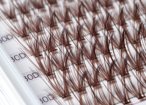 False eyelashes extension set with brown lashes. Makeup accessories