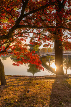 View of Hyangwonjeong Pavilion at sunset with autumn leaves in Gyeongbokgung Palace, Seoul, South Korea