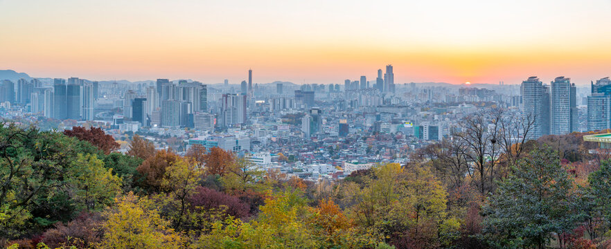 View of Seoul skyline at sunset from N Seoul Tower in autumn with city buildings and trees visible in the foreground