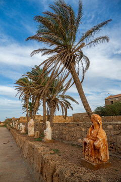Ancient statues and palm trees line the pathway of an old Greek city in eastern Libya
