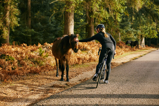 Female Cyclist Stops To Pet Pony On Forest Road