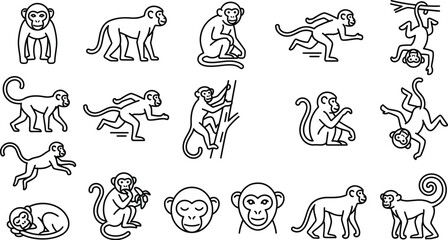 Set of diverse monkey icons depicted in a clean minimalist vector graphic style showing various playful poses and actions for modern web design projects and educational creative digital media © saif