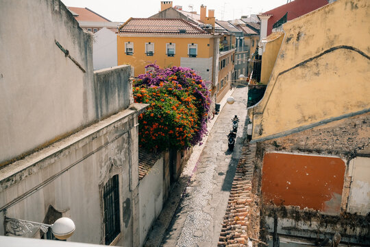 Colorful Flowers Along a Narrow Street in a Historic City