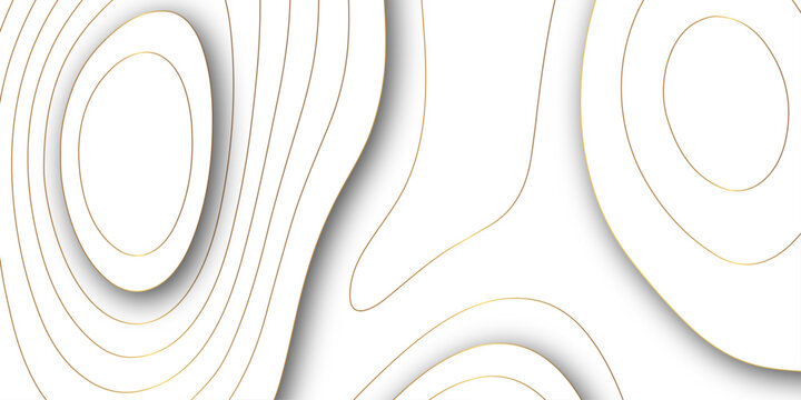 Abstract white golden gradient Topographic line map pattern background. Contour elevation topographic and textured Background Modern design with White background with topographic wavy patte.
