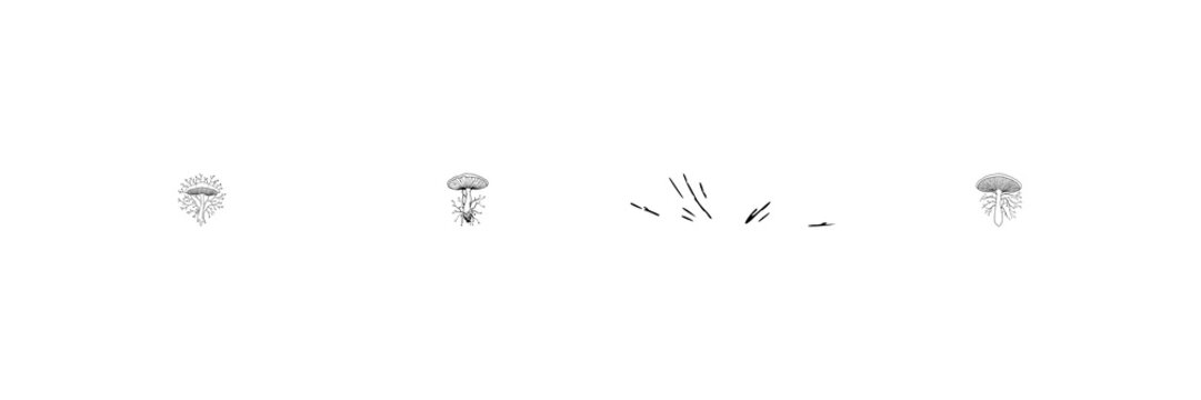 Mushroom mycelium network set with fine line art depicting organic sustainable material theme featuring delicate thin lines, white background with nature and fungi