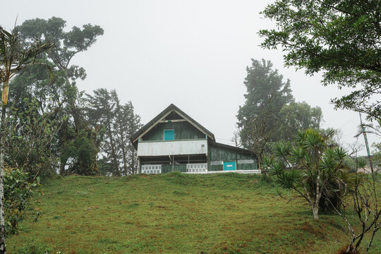 House on grassy hill surrounded by trees in foggy weather