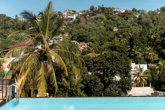Relaxing Infinity Pool. Sri Lanka Tropical Landscape