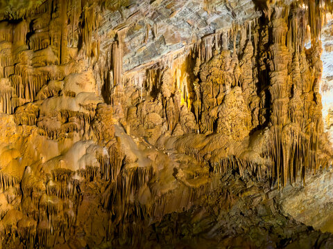 Vast Cave Wall Covered in Dense Amber Formations